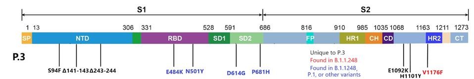 mutations to the spike protein