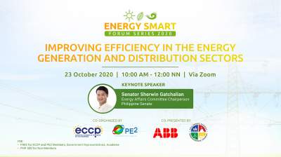 Improving Efficiency in the Energy Generation and Distribution Sectors