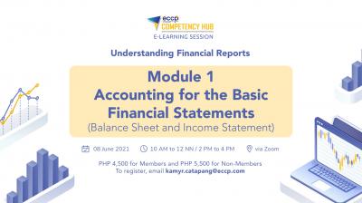 Accounting for the Basic Financial Statements Module (Balance Sheet & Income Statement)