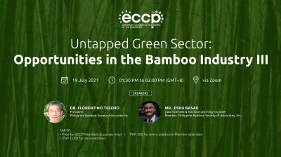 Untapped Green Sector: Opportunities in the Bamboo Industry III