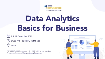 Data Analytics Basics for Business (2 sessions)